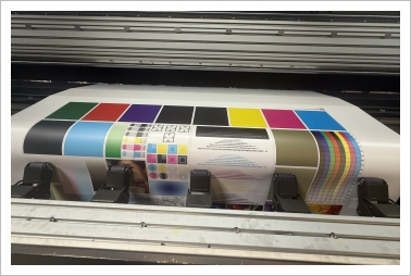 efi Vutek 5R+ LED from D to Romania 10-2025